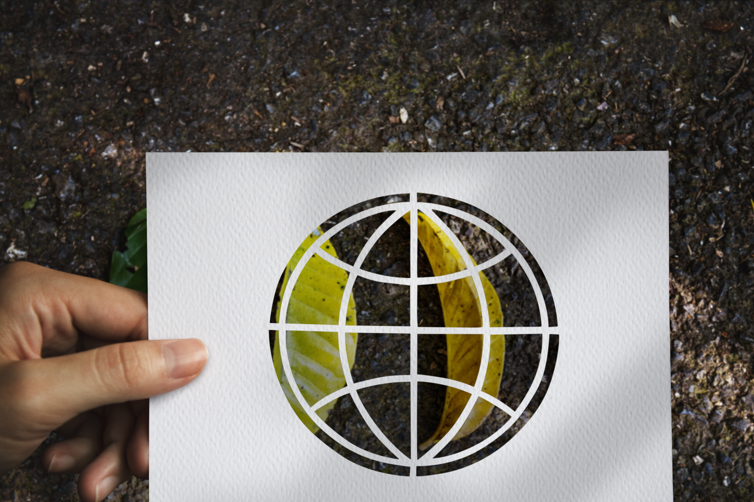 حساب البصمة الكربونية وإعداد التقارير